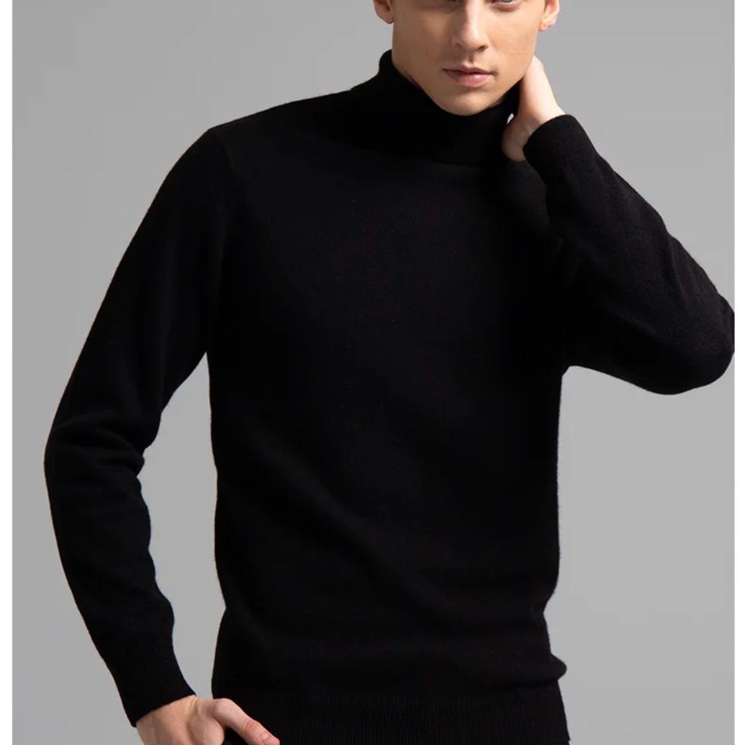 Eleganter Rollkragenpullover | Lucas